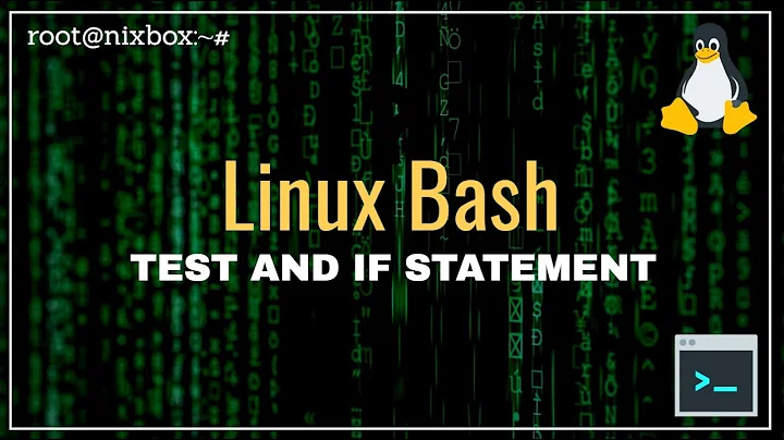 How to Use Test Conditions and If Statements in Bash