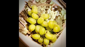 WHAT PROLEGOMENA MEANS