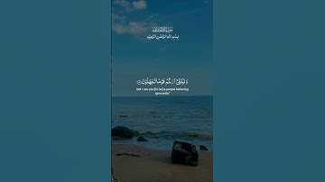 سورة الأحقاف #قران_كريم #تلاوة_هادئة