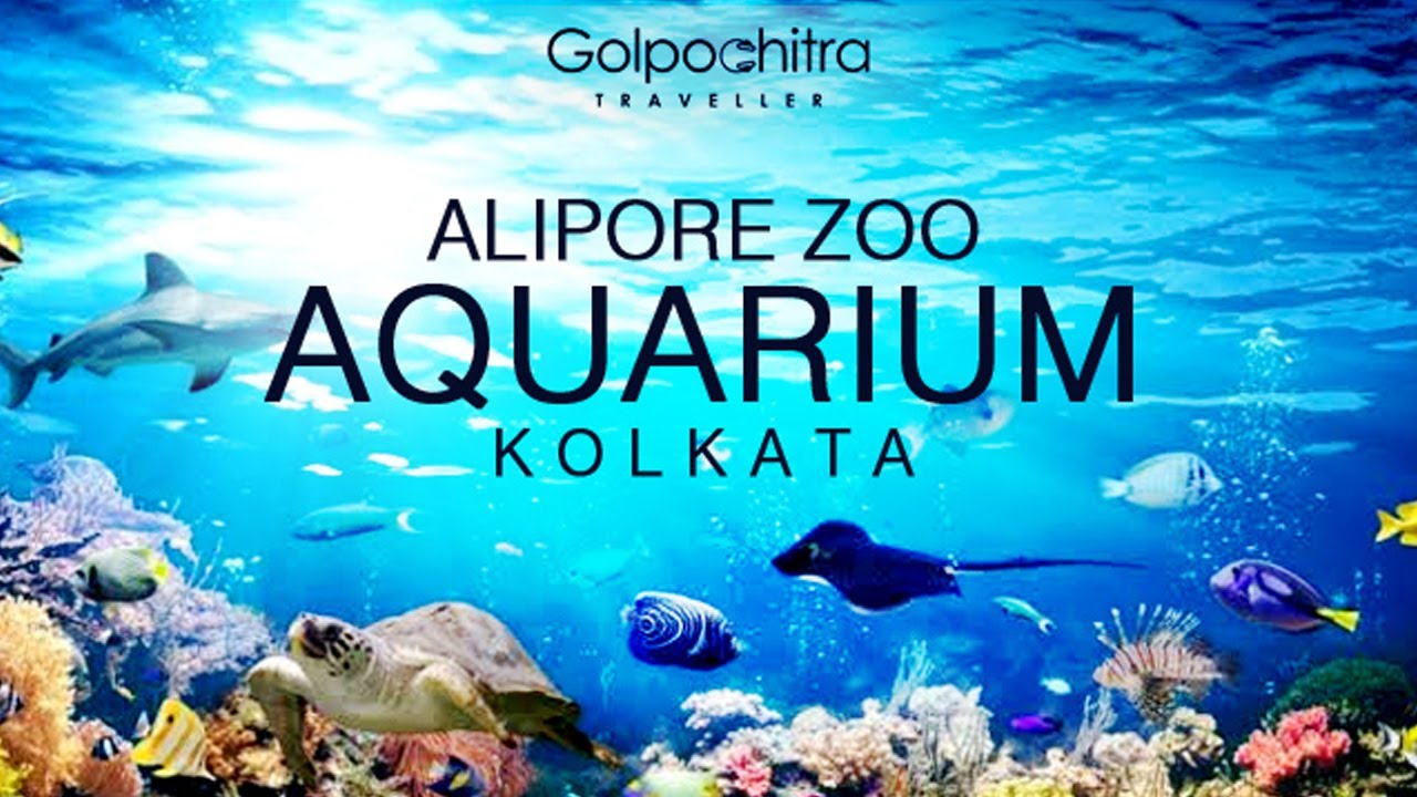 Alipore Zoo Aquarium Kolkata আলিপুর চিড়িয়াখানা অ্যাকোরিয়াম