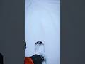 Freeride Snowboarding ч.1 #сноуборд#сноубордин#snowboarding#freeride#powderday#mountains#backcountry