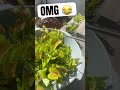 VENUS FLYTRAP Feeding FAIL!