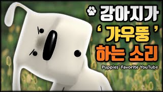 강아지가 갸우뚱하는 소리, 강아지가 보는 유튜브 - Puppies' Favorite Sound