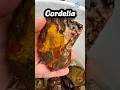 Caerwyn, Cosimo, Cordelia: Names forMoroccan Agate Gems