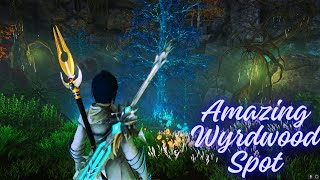 New World En İyi Wyrdwood Spots (Amazing Wyrdwood Spots)