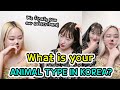 What is YOUR ANIMAL TYPE in Korea? (ft. our lovely subscribers)