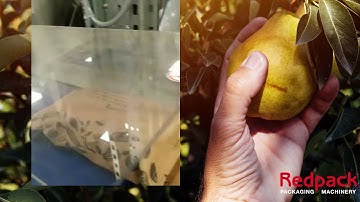 Redpack P325E - FI flowrapping paper packaging on trayless pears