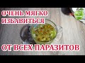 ГЛИСТЫ УЙДУТ БЕЗ ЛЕКАРСТВ! СРОЧНО ЗАПИСЫВАЙТЕ РЕЦЕПТ!