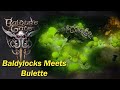 Baldur's Gate 3 - Baelen's Tragic Meeting with My Pet Bulette