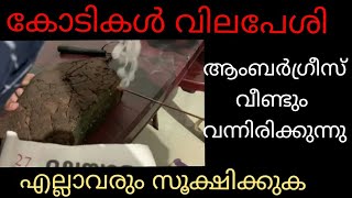 Ambergris full test video needle test & salt water test
