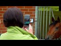 Behind the scenes at #TeamGodolphin