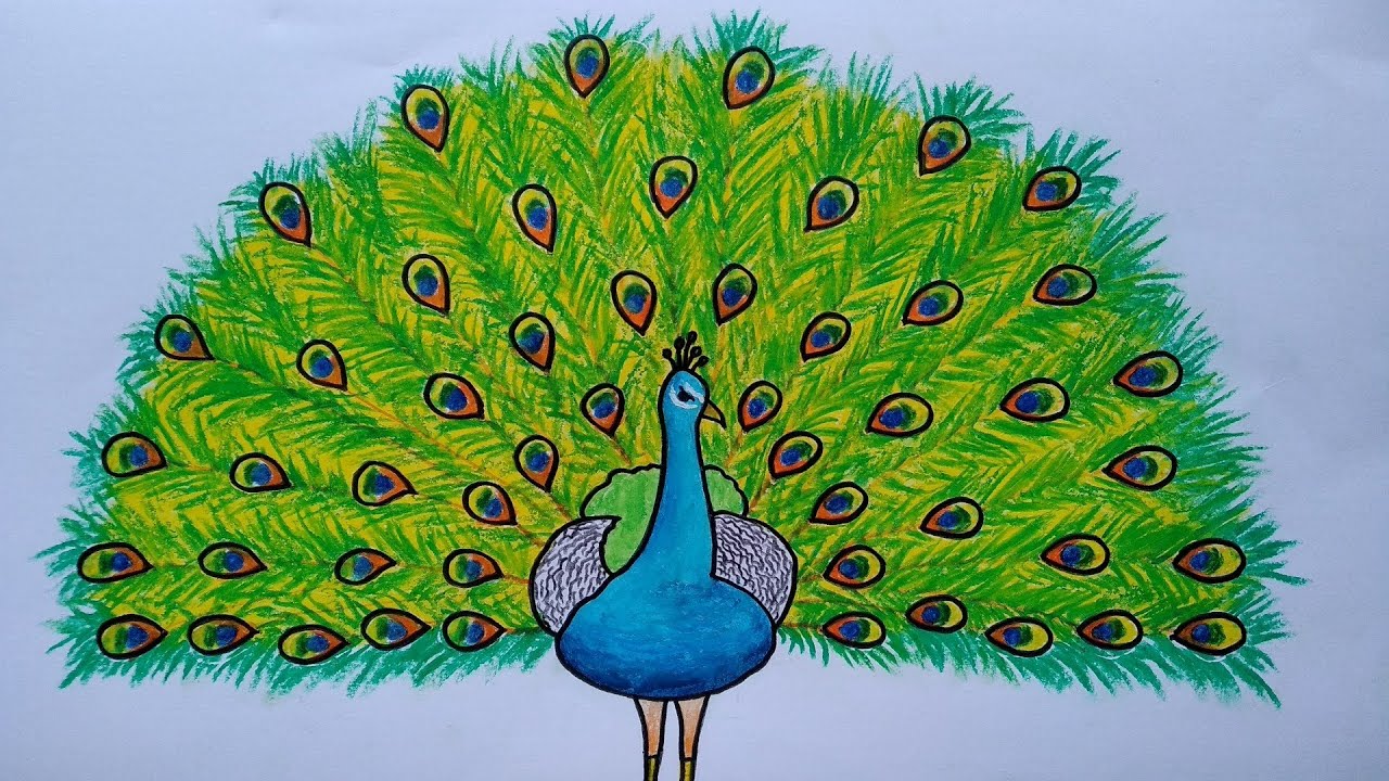 4200 Koleksi Gambar Dekoratif Burung Merak Menggunakan Motif Gratis