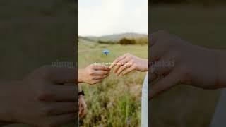 Download Lagu Pinilit ni tondi MP3