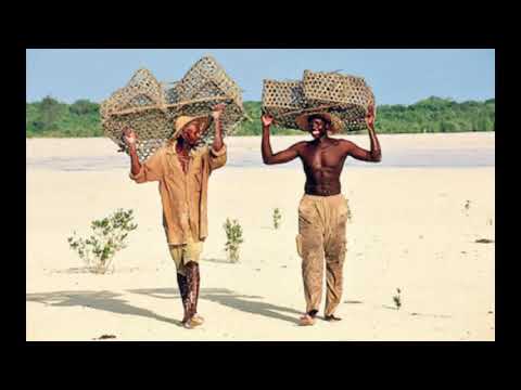 Video: Hakuna Kubwa