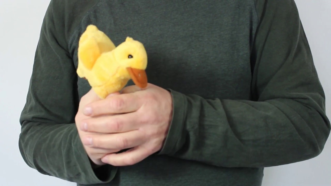 Video: Kachnička na prst
