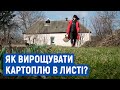 Вирощує картоплю у сухому листі: жителька Іванівки експериментує з грядками