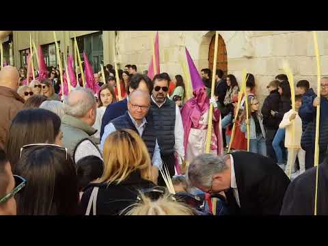 Real Cofradía de Jesús en su Entrada Triunfal en Jerusalén