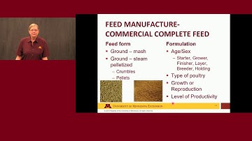 Backyard Poultry Nutrition 101