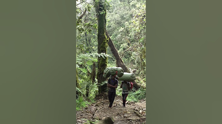 How much it cost to hike to Mt Kilimanjaro on the Machame route #7summits #africa