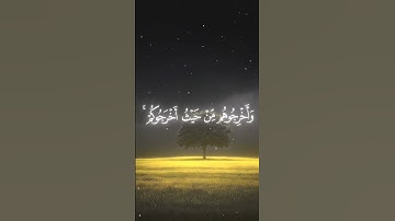وقاتلوا في سبيل الله الذين يقاتلونكم سورة البقرة القارئ محمد اللحيدان