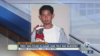 PBSO: Man found in sugar cane field was murdered