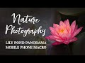 Rainy Day Photo Walk | Mobile Phone Macro and Photography with DSLR &amp; Telephoto Lens