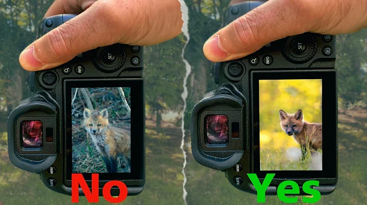 HOW TO GET A BLURRY BACKGROUND IN-CAMERA!  Depth of field explained. - DayDayNews