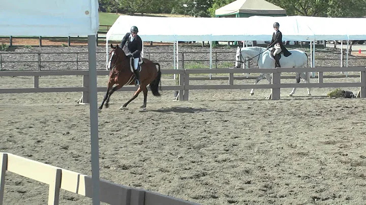 Hugh "Bert" Mutch and Bunistar - USHJA National De...
