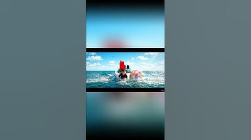 Capybara | Capy Và Bà #capybara