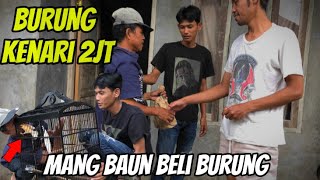 Ng3riii burung kenari mang baun roll panjang 1 menit tanpa jeda mang baun COD burung