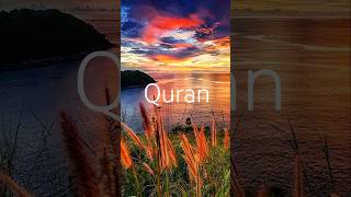 QURAN AYAT URDU TRANSLATION