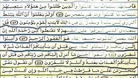 القران الكريم سورة الزمر من الاية 36 الى اخر السورة