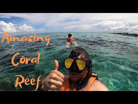 วีดีโอ: วิธีเยี่ยมชม Mesoamerican Barrier Reef ของเม็กซิโก