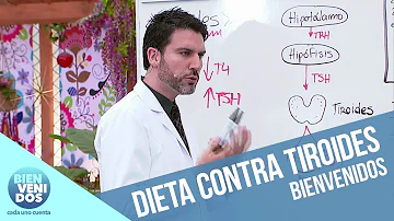 ¿Cómo afecta la ashwagandha a la tiroides?