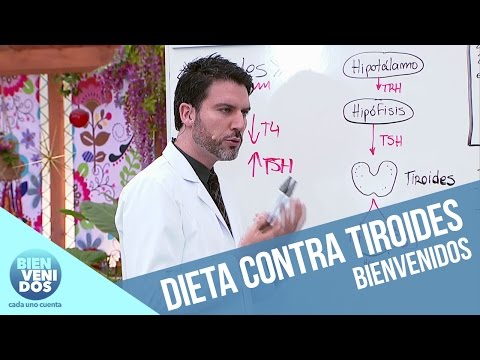 Qué consumir si tiene trastornos a la tiroides | Bienvenidos