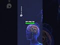 Skin Gut Brain Biome The 3 Way Communication Revealed!