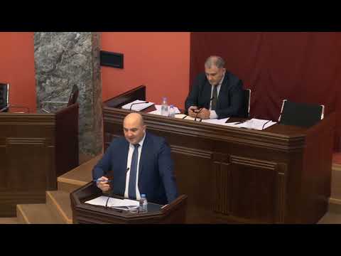 ადამიანის უფლებათა დაცვისა და სამოქალაქო ინტეგრაციის კომიტეტის სხდომა (ნაწილი II) - 15.09.2022