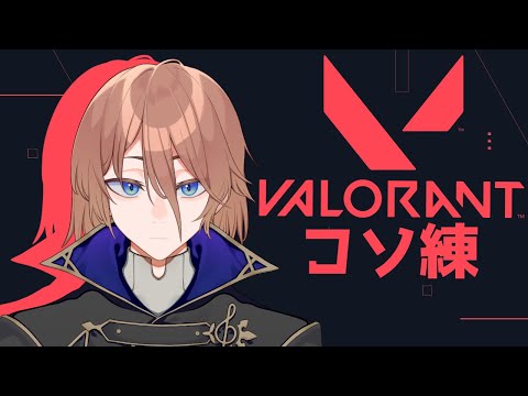 【VALORANT】ｺｿｺｿコソ練【土亜音レグ】