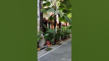 CSIR-IICT Hyderabad #csirnet #studymotivation #song #csir