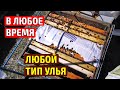 Самый простой способ объединение пчел  в любое время