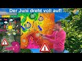 Der Juni dreht voll auf! Höhepunkt am Wochenende. Aktuelle Wetter- &amp; Hitzevorhersage 14.-19. Juni.