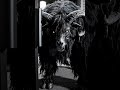 Goatman Caught on Doorbell Cam in Full Light #shorts