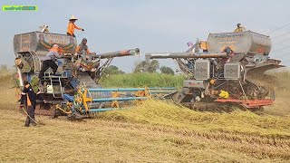 รีวิวรถเกี่ยวข้าว ประทีปพัฒนาการช่าง ลง2คันดันข้าวล้ม🌾🌾