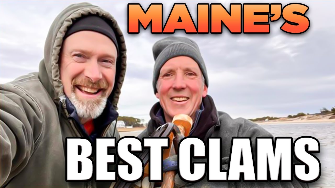 Digging Clams in Wells Maine, Maine Realestate, Maine Realtor, Maine