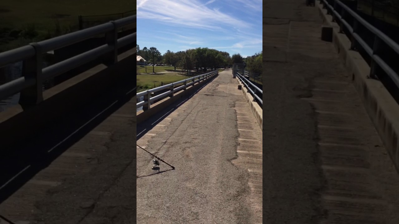 How to catch tilapia at Jay Blanchard Park in East Orlando using free