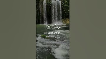 تلاوة من سورة الإنسان #اسلام_صبحي #quran #قرآن_كريم #islamic #islam #islamicstatus #fyp #foryou