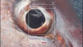 [FTV한국낚시채널] Teaser) 2019 솔루션