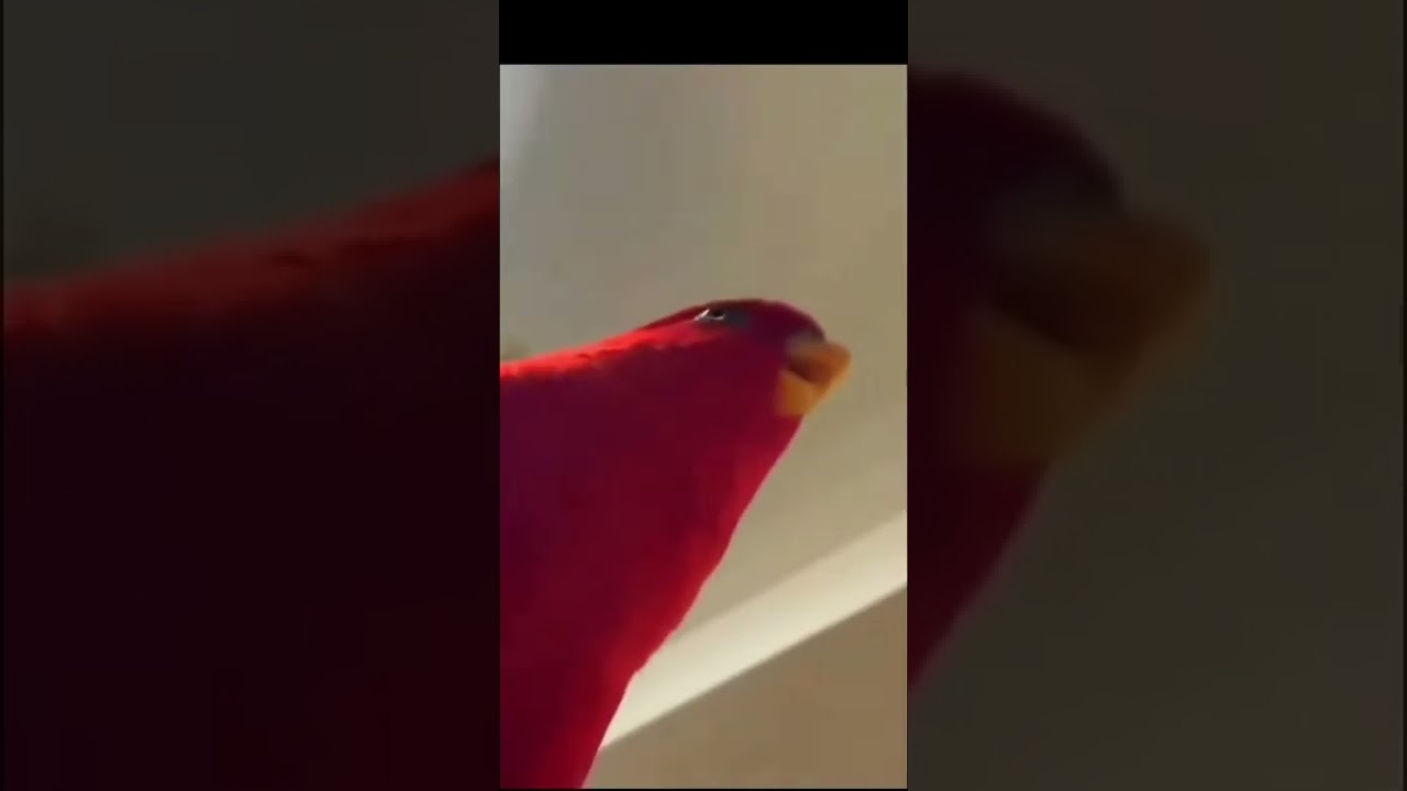 Red Bird laugh but it's Eren's Tatakae