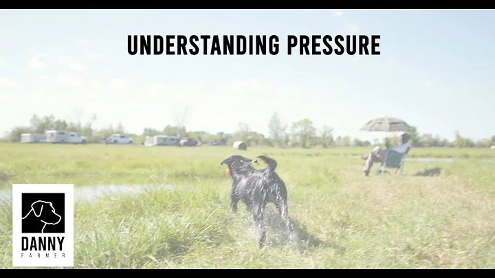 Understanding Pressure Video