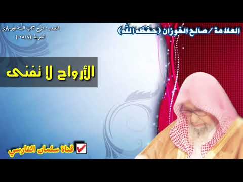 الشيخ صالح الفوزان : الأرواح لا تفنى